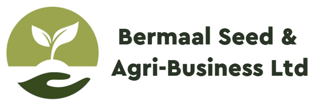 Bermaal Logo